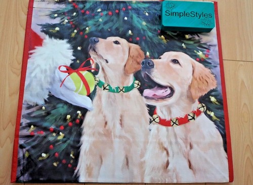 Carino golden retriever - retriever, cani