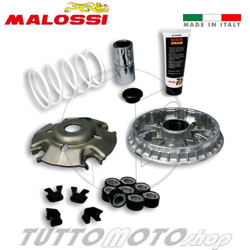 5116072 variatore malossi - variatore,