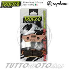 Pastiglie KTM Adventure 1190 R ABS 2013 2014 2015 2016 Posteriori Sinter TROFEO