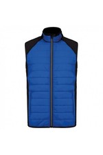 Gilet sportivo - gilet,