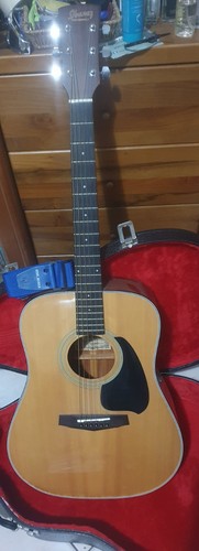 Ibanez pf10 chitarra - ibanez, acustica