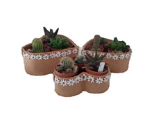 VASI IN TERRACOTTA ,TRIS