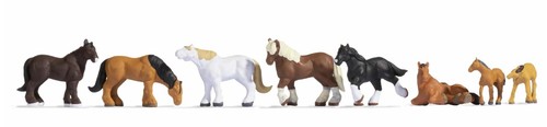 Noch cavalli tiro 1 - cavalli, da