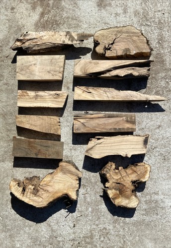 Lotto scarti legno ulivo - legno, di