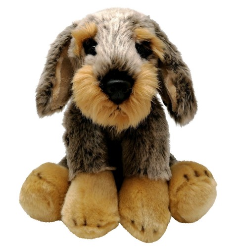 Schnauzer grigio cane - schnauzer,