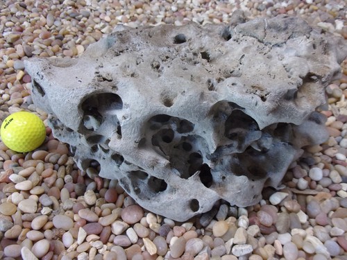 Texas holey rock - 10#, texas/tn