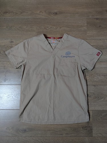 Dickies abbigliamento - dickies,