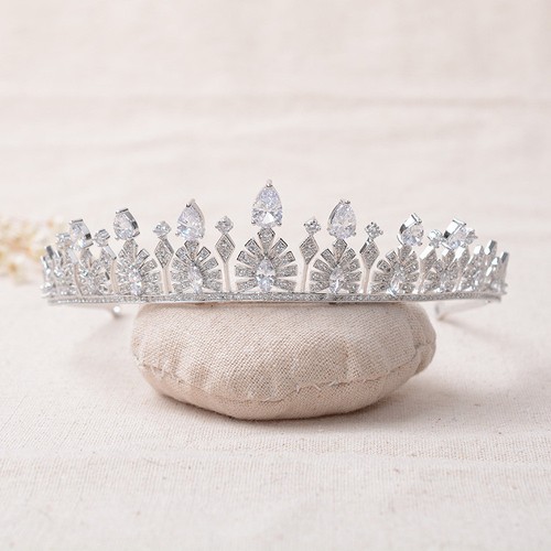 Diadema corona - , adulto