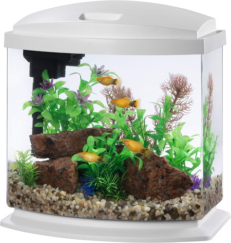 Kit led minibow acquario con - minibow,