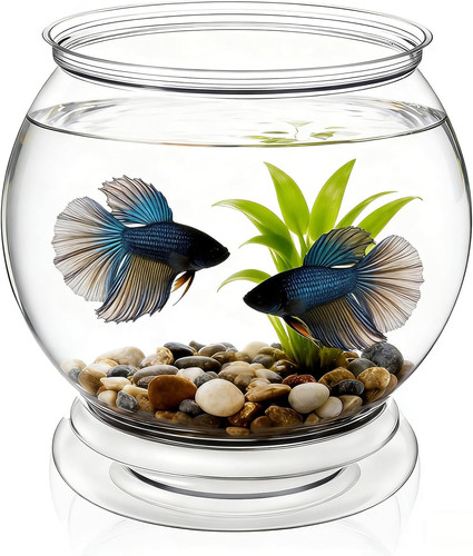 Mini acquario rotondo - mini, in
