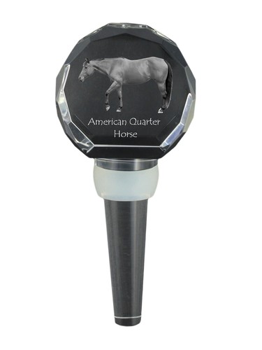 Amerikanisches quarter horse - amerikanisches,