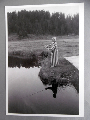 Robert frank carton - frank, collection