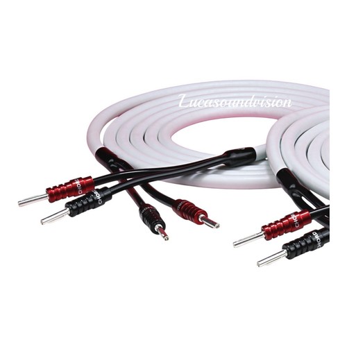 Cavo altoparlante audio - , chord