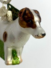 Decorazione Natalizia Vetro Jack Russell Terrier Vecchio Mondo Natale Nuovo con etichette Altezza 2,5"