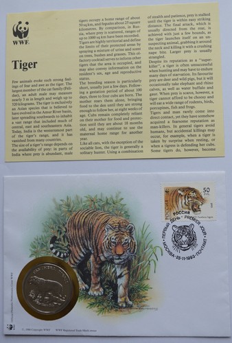 Russia wildlife gatto - wildlife,