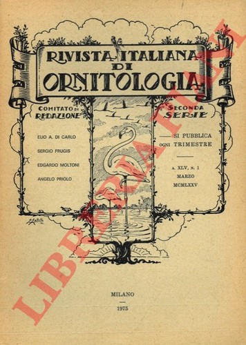 Vv rivista - ,