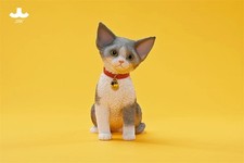 JXK 1/3 Devon Rex 2.0 Modello