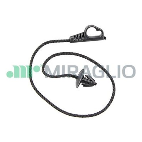 Miraglio cinghia supporto - di,