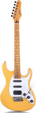 Chitarra elettrica Grote