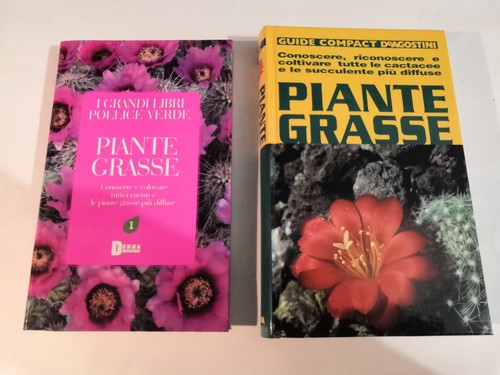 Piante grasse conoscere - piante,