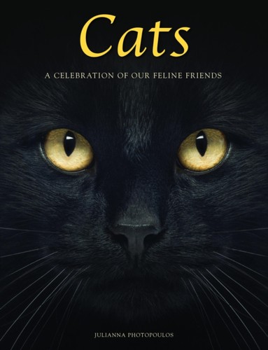 Cats celebration our - celebration, of