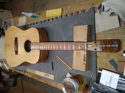 Kit chitarra fai te - chitarra,