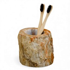 Legno Fossile Porta Spazzolini