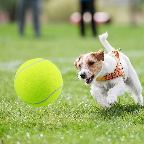 Palline tennis grandi - tennis,