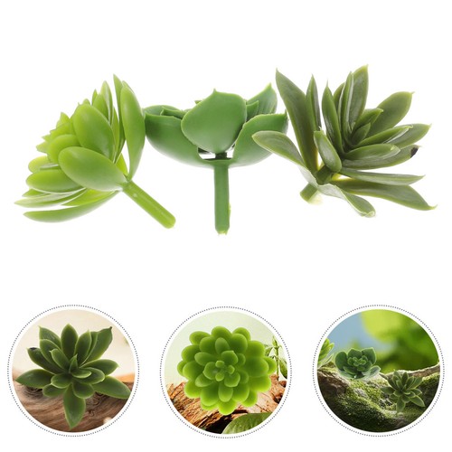 Pcs succulente artificiali - succulente,