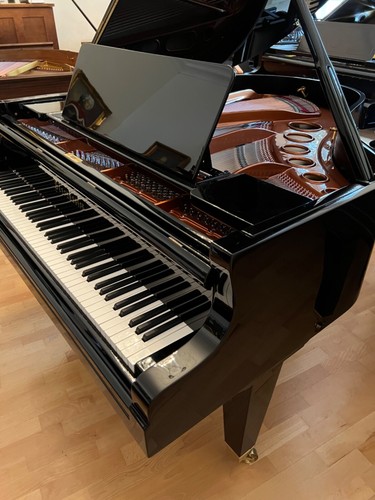 Bösendorfer pianoforte coda - bÖsendorfer,