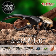 Living Creatures Encyclopedia