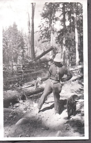 Vintage photograph hunting - vintage,