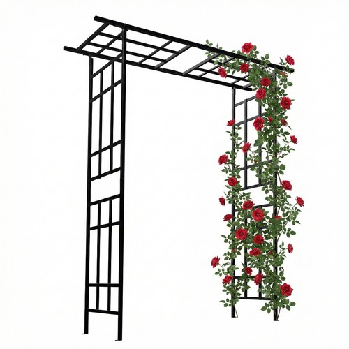 Arco per rose sostegno - per, rose,