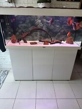 acquario completo usato