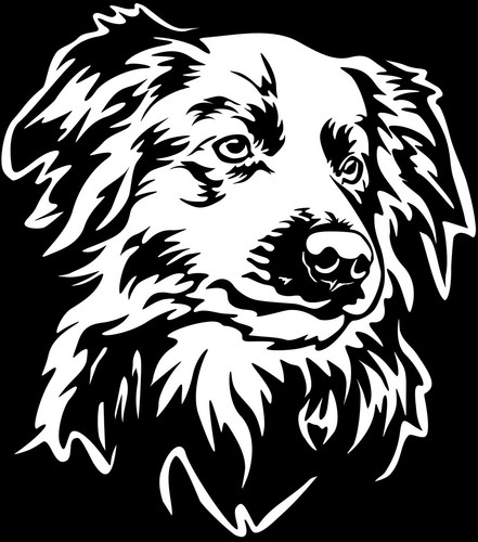 Adesivo border collie - collie,