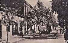 ALGERIA - Teniet El Haad - Avenue du Sersou et Etab. Pointu