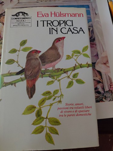 Eva hulsmann tropici in - -,