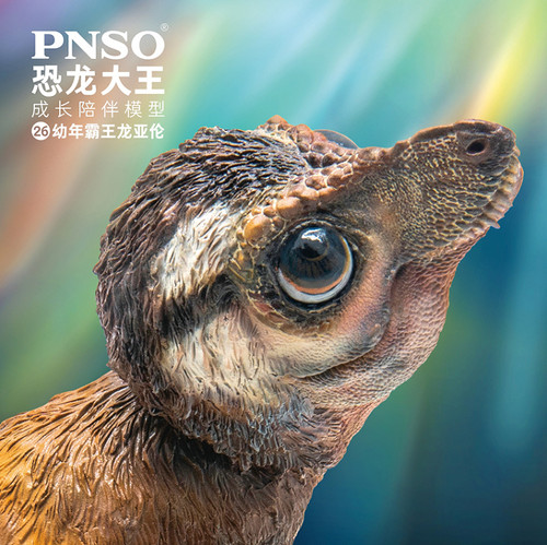 Pnso baby tyrannosaurus rex - baby,