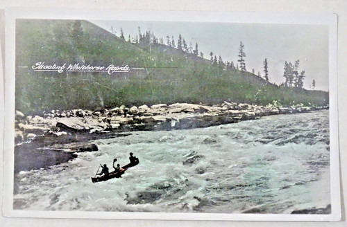 C1954 rppc postcard shooting - c1954,