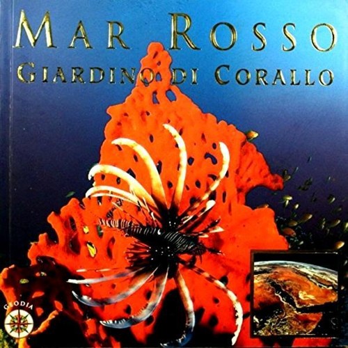 Mar rosso giardino corallo - giardino, di