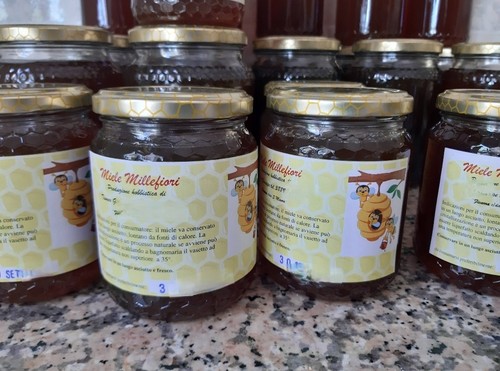 Miele millefiori biologico 1kg - miele,