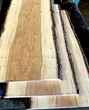 BELLISSIMO FORNO ESSICCATO