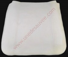 Schiuma Sellino Anteriore