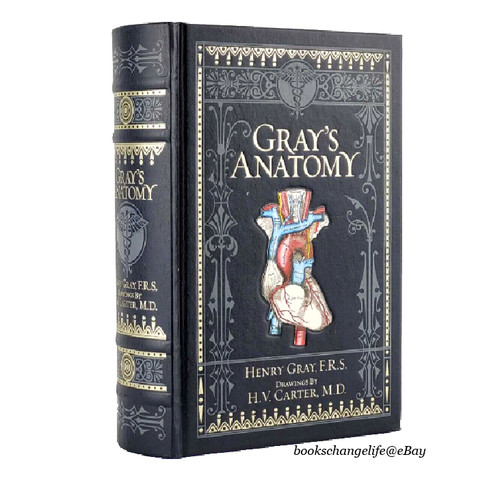 Gray anatomy henry - henry,
