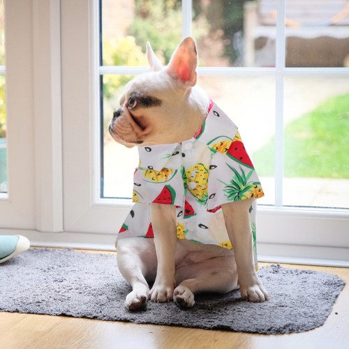 Vestitini per cani - vestitini, camicie