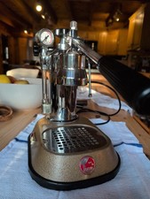 Pavoni europiccola - la,