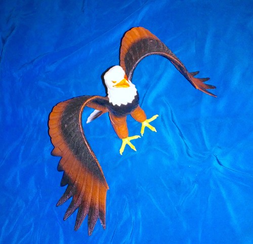 Aquila reale americana - aquila,