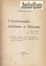 L'UNIVERSITÀ ITALIANA A