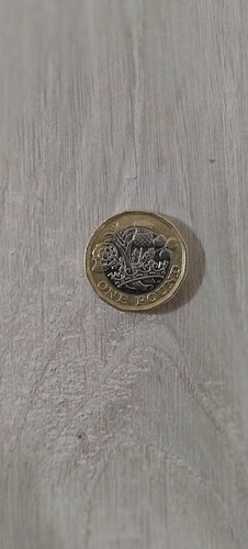 Stupenda moneta rara one pound - rara,
