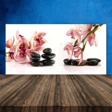 Paraschizzi Retrofornelli